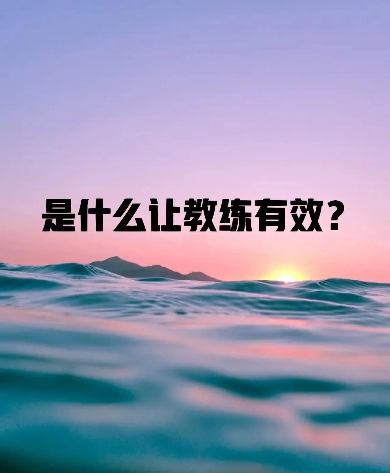 包含主教练调整是否能够发挥作用的词条