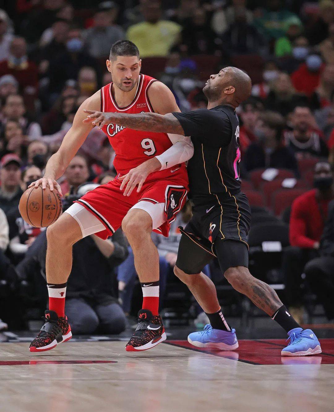 乐鱼体育网址-关于玫瑰花多点开，公牛队取胜节奏不断延续的信息