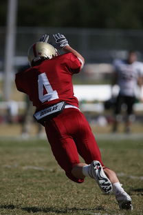 乐鱼体育视频-多特蒙德遭遇德甲强敌挑战，球队面临考验!，多特蒙德主力队员名单
